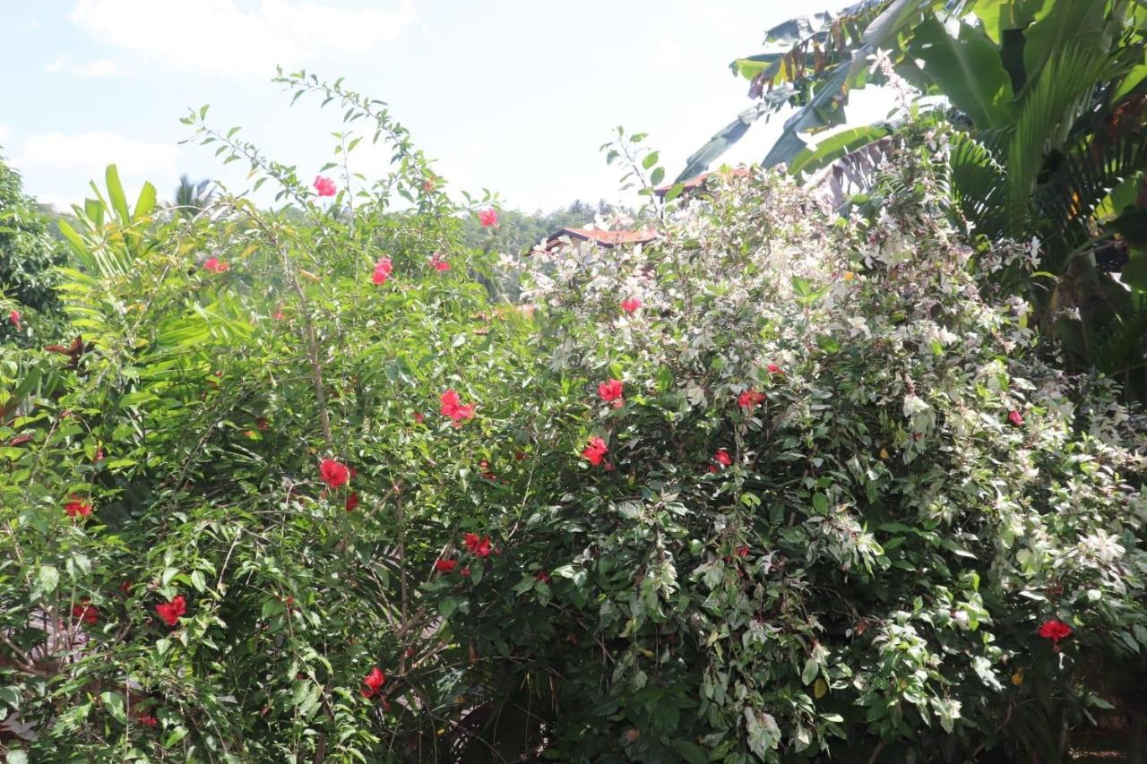 דירות אונה ואטונה Old Chilli House מראה חיצוני תמונה